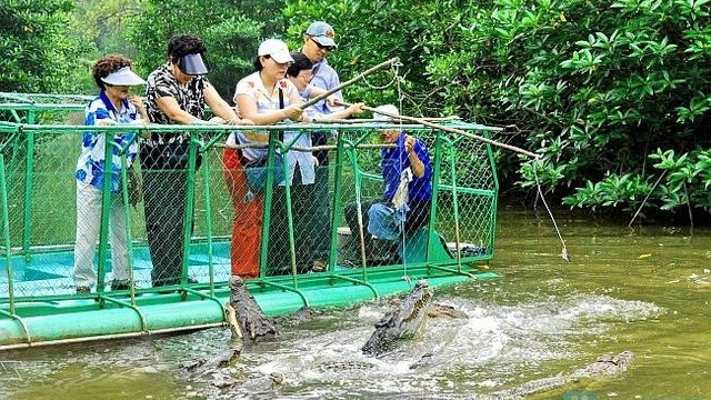 Crocodile Farm and Wildlife Spotting