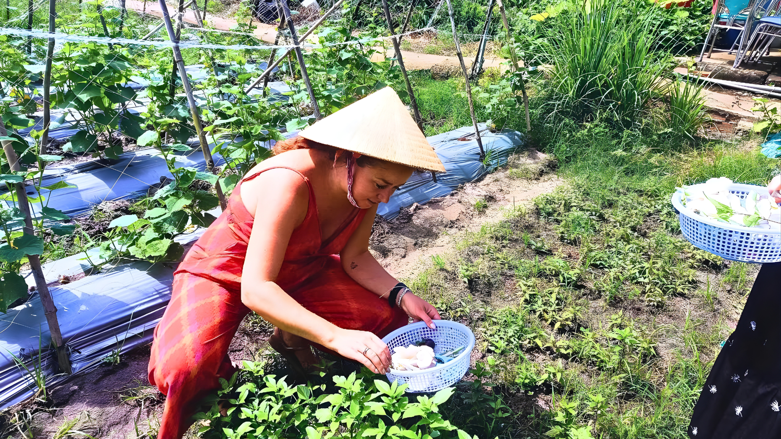 Full-Day Tour: Cooking Class, Farm Visit, and Cu Chi Tunnels