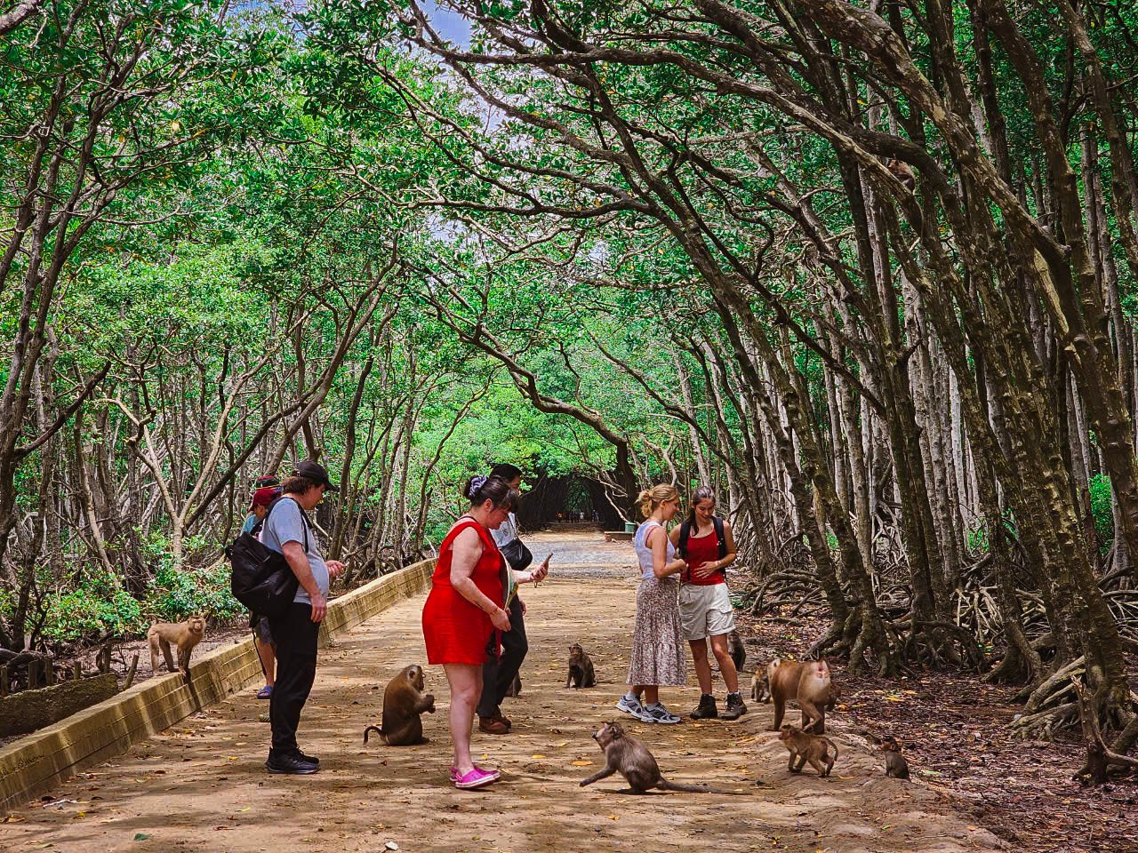 Eco Can Gio Adventure, and Monkey Island Tour By Car